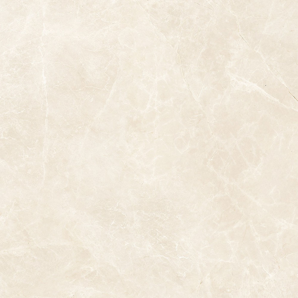 DY��8031 ���S